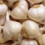 garlic